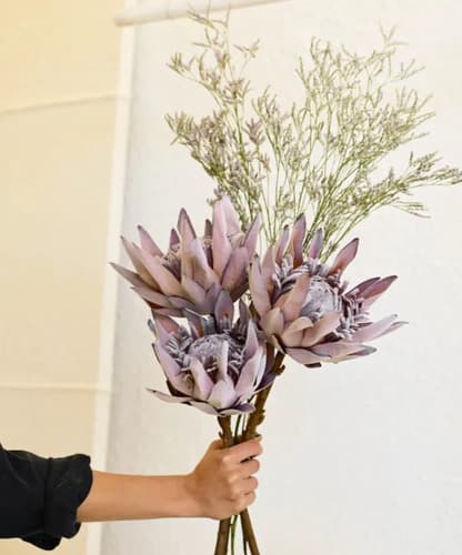 Haste Prótea Artificial/permanente 50cm Outono Rosa Envelhecido