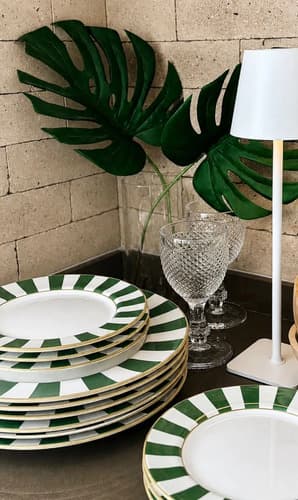 Jogo De Prato Porcelama Strip 12 Peças Alleanza Verde-escuro Geométrico